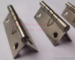 彈簧合頁(yè),304不銹鋼彈合頁(yè)價(jià)格 廠家 圖片